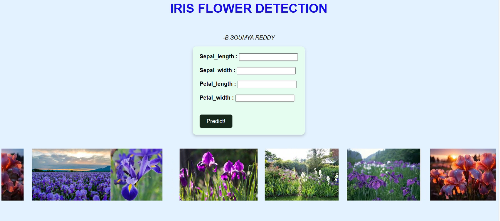 Soumya Bodigam - Software Developer
